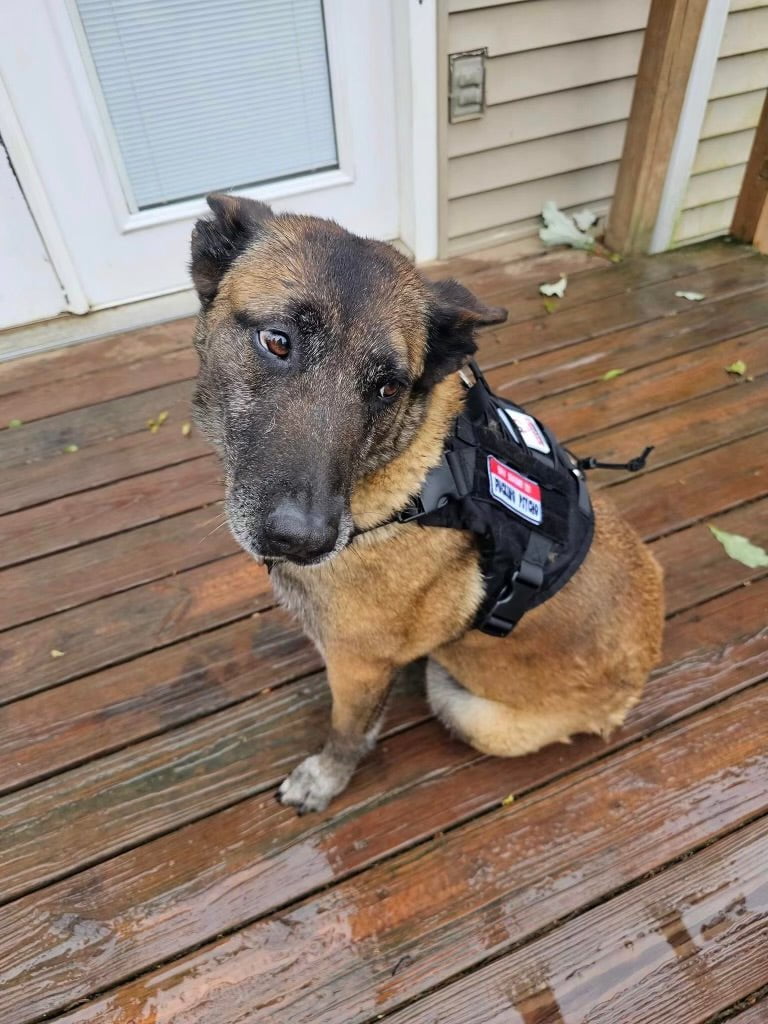 Tactical shops service dog vest small