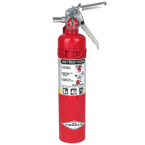 Fire Extinguisher - Amerex B417T, 2.5lb ABC Dry Chemical Class